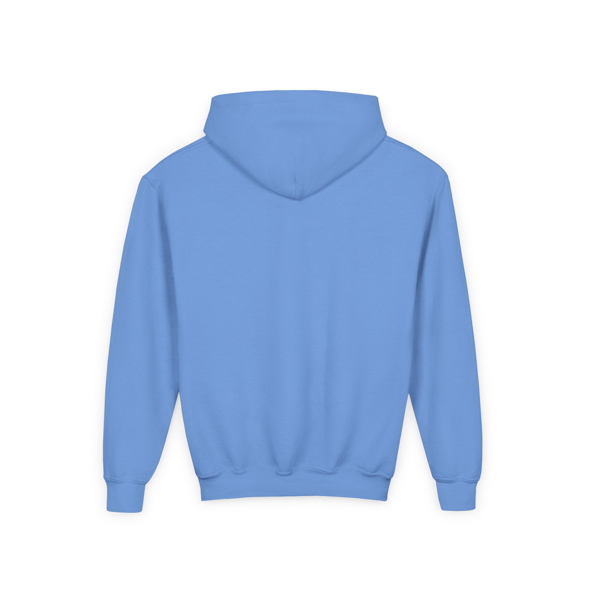 Deep in the Heart of Texas Youth Hoodie in Carolina Blue, back view