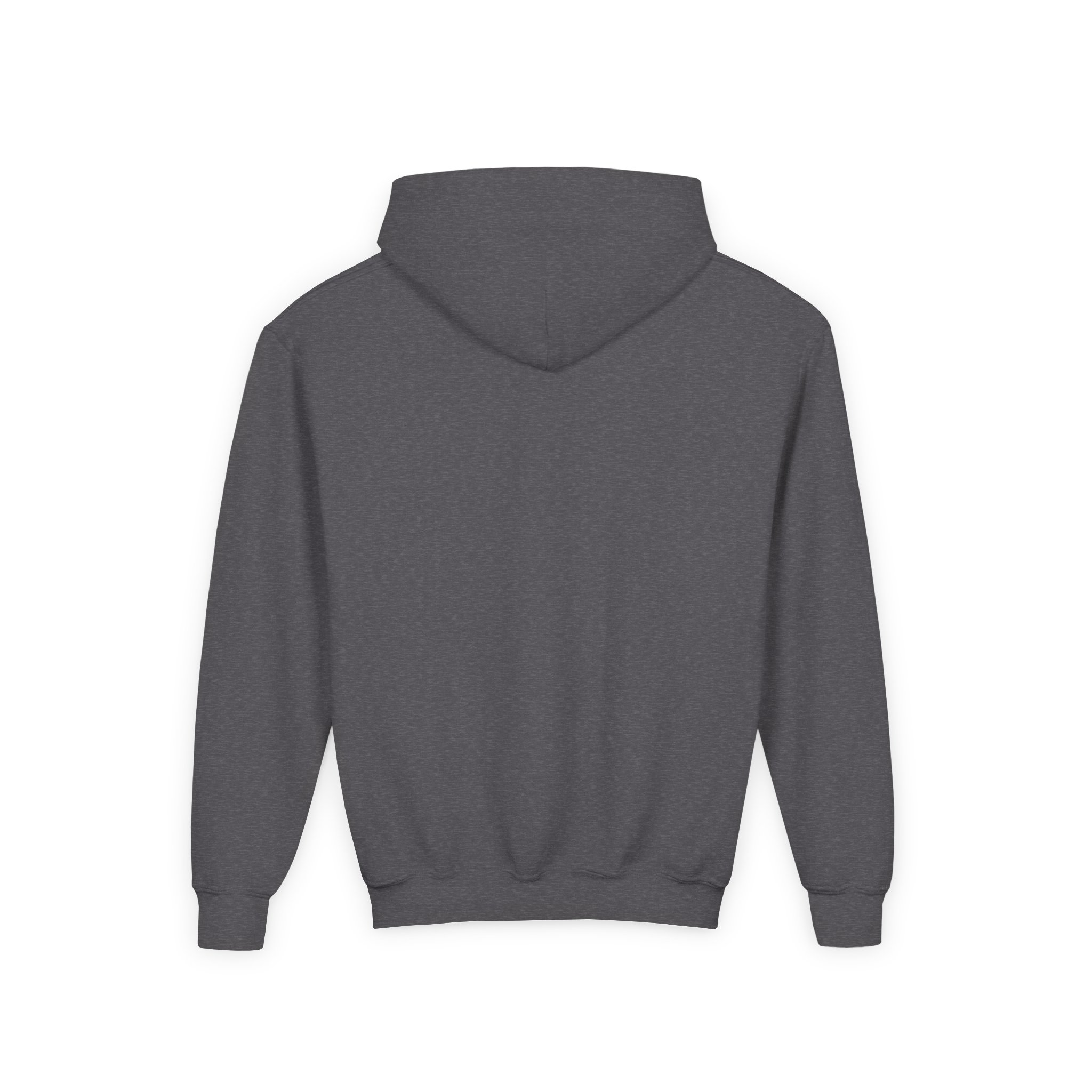 Deep in the Heart of Texas Youth Hoodie in Dark Heather, back view